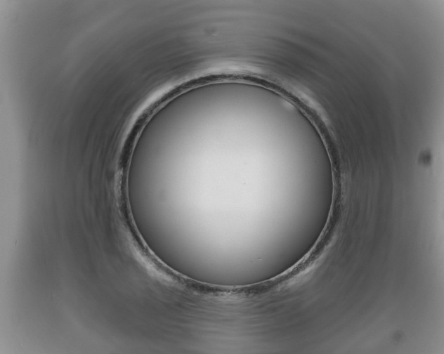 X0000089761029200706210949