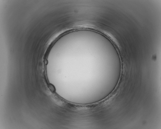 X0000089761031200706210949