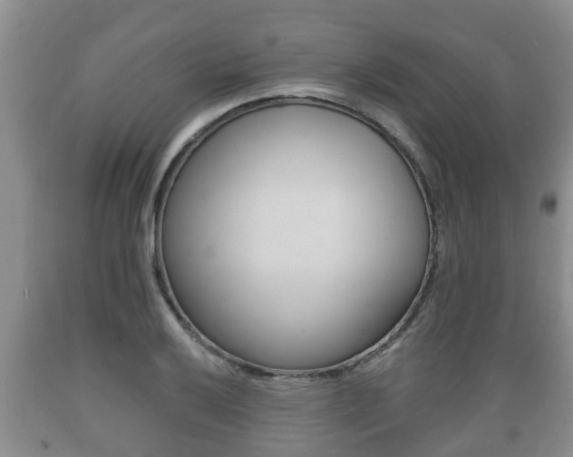 X0000089761032200706210949