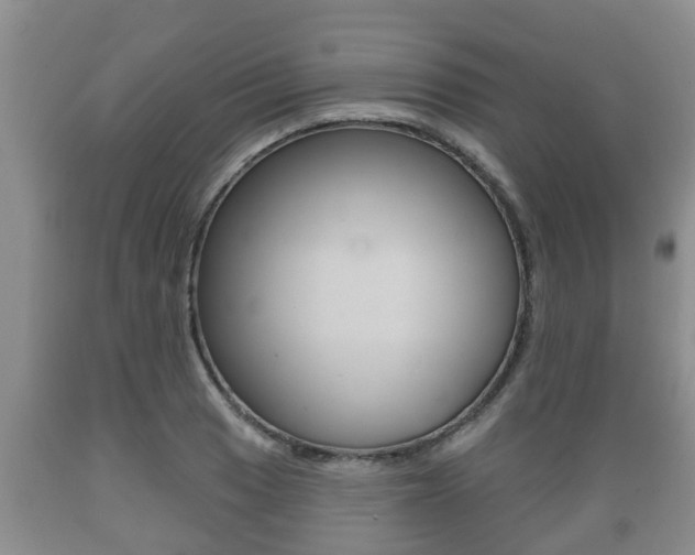 X0000089761033200706210949