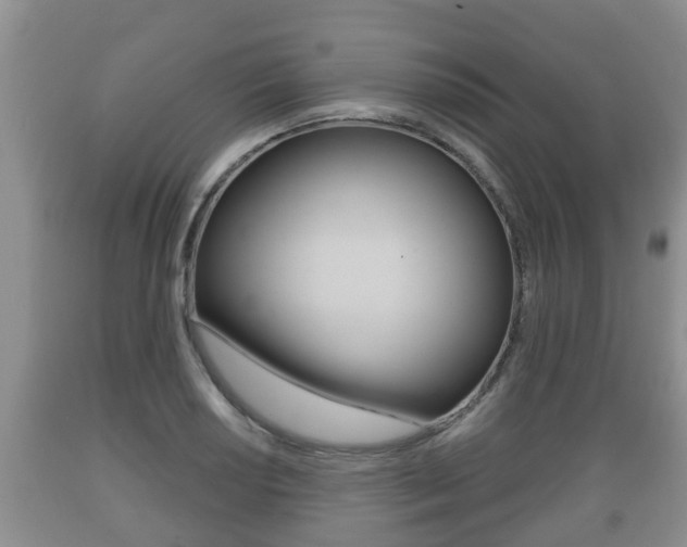 X0000089761034200706210949