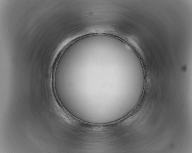 X0000089761035200706210949