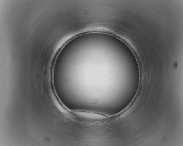 X0000089761038200706210949