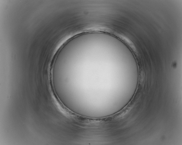 X0000089761039200706210949