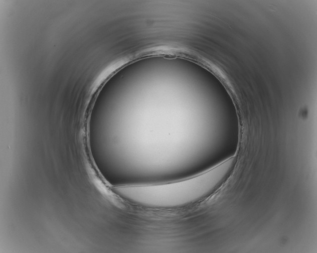 X0000089761042200706210949