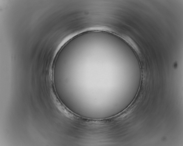 X0000089761044200706210949