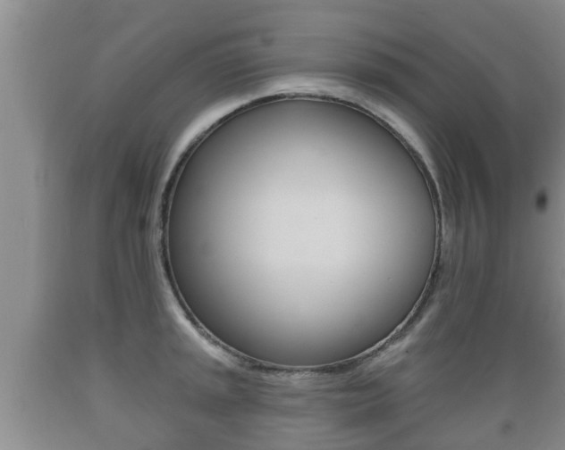 X0000089761045200706210949
