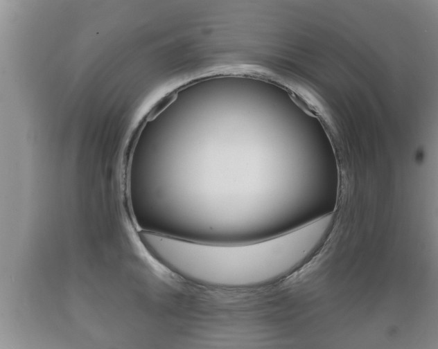 X0000089761046200706210949