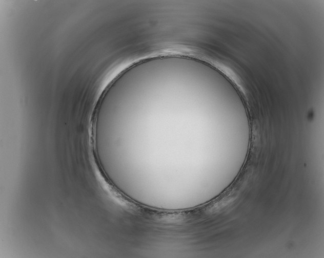 X0000089761047200706210949