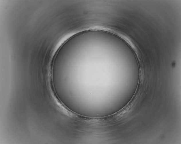 X0000089761048200706210950