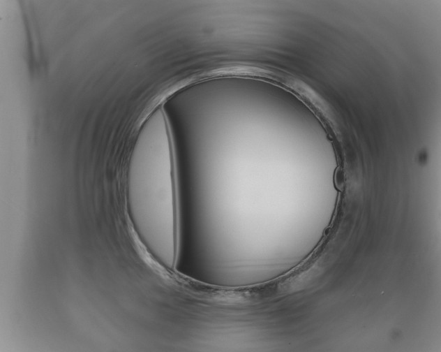 X0000089761049200706210950