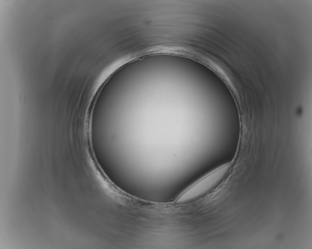X0000089761050200706210950