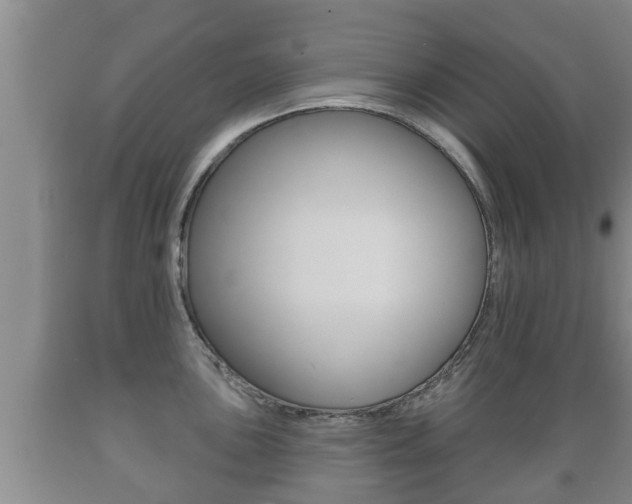 X0000089761051200706210950