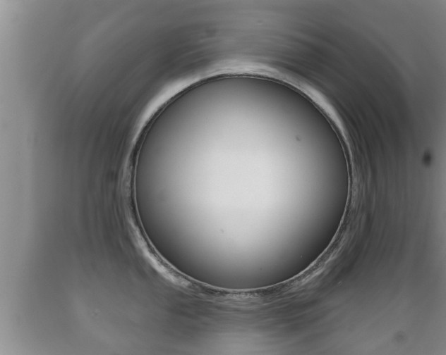 X0000089761053200706210950