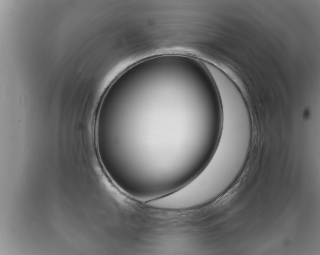 X0000089761054200706210950