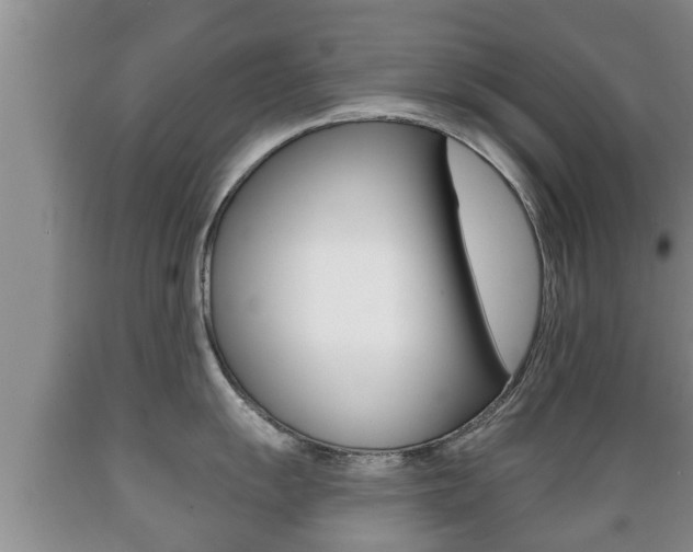 X0000089761055200706210950