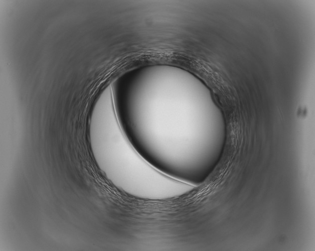 X0000089761057200706210949
