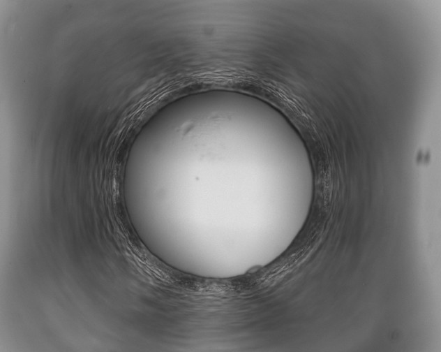 X0000089761058200706210949