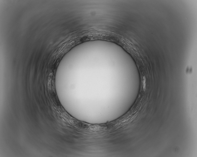 X0000089761059200706210949