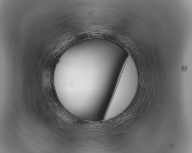 X0000089761060200706210949