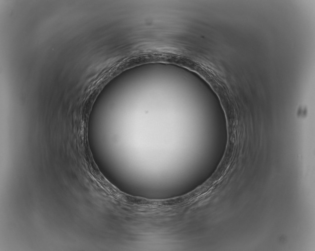 X0000089761061200706210949