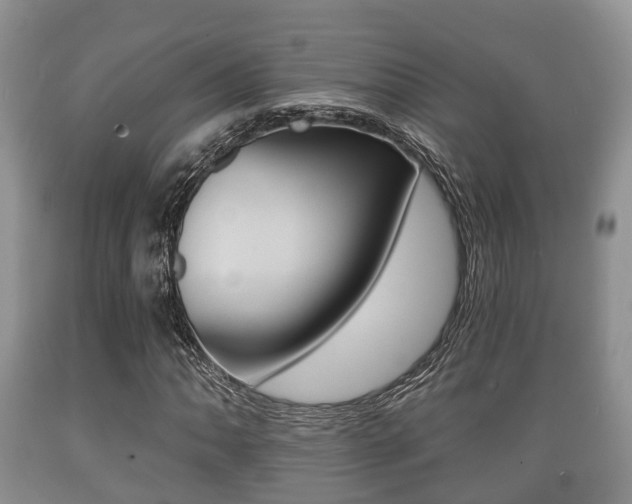 X0000089761062200706210949