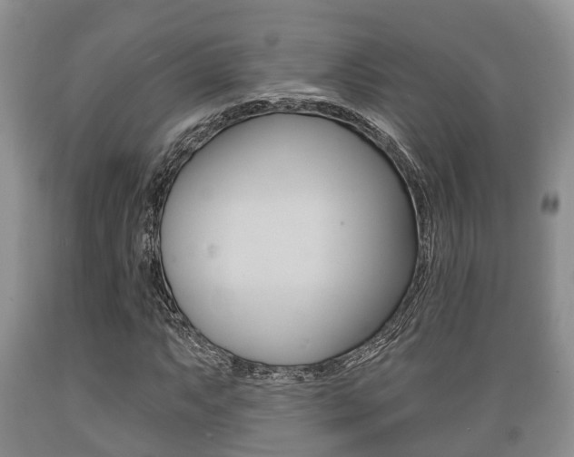 X0000089761063200706210949