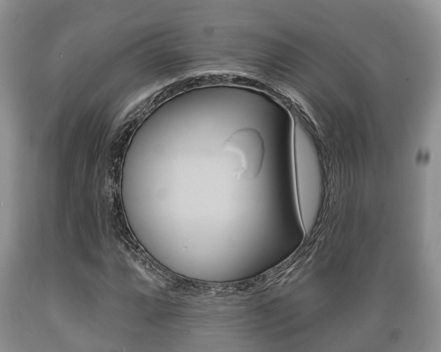 X0000089761064200706210949