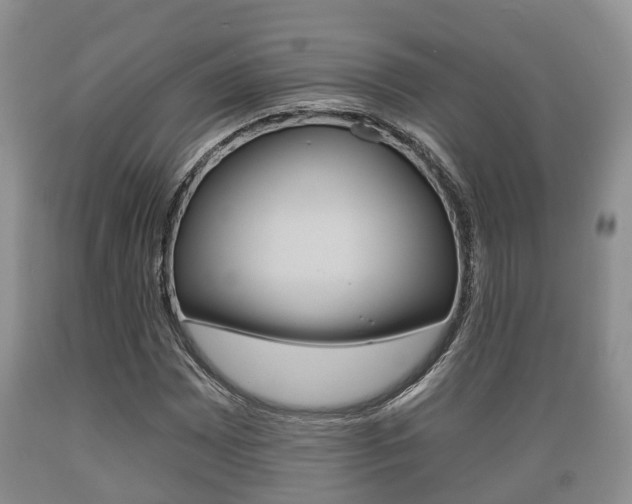 X0000089761065200706210949