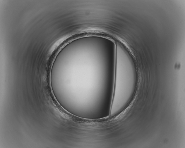 X0000089761066200706210949