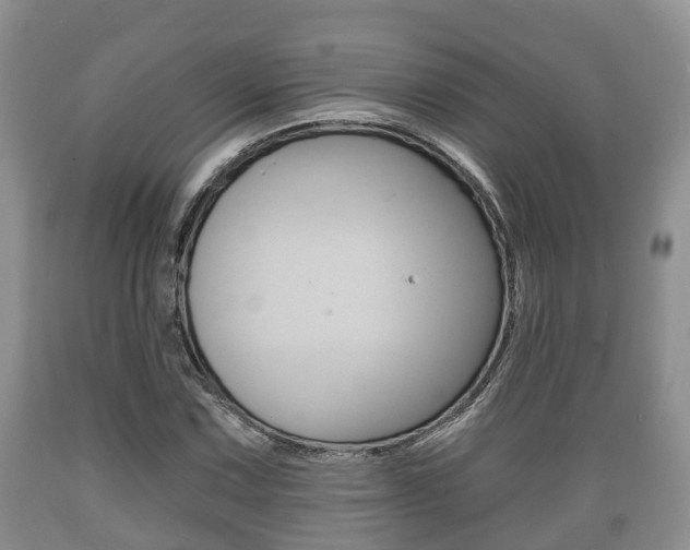 X0000089761067200706210949