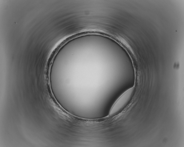 X0000089761068200706210949