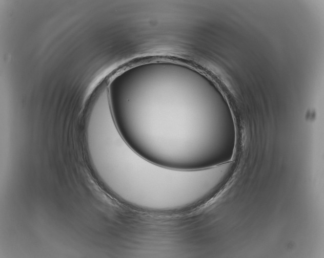 X0000089761069200706210949