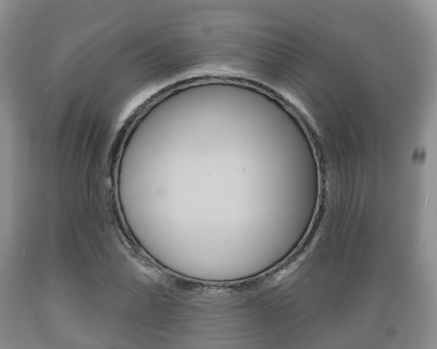 X0000089761070200706210949