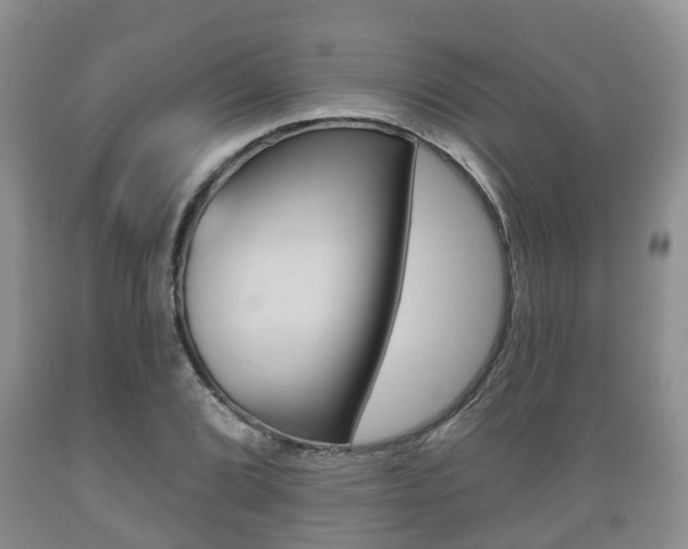 X0000089761072200706210949