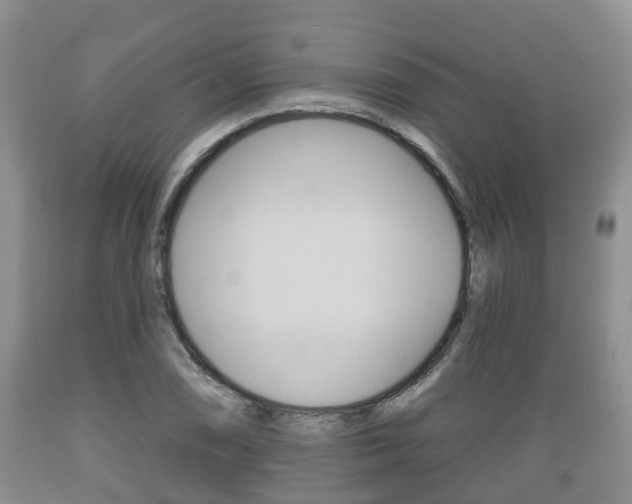 X0000089761074200706210949