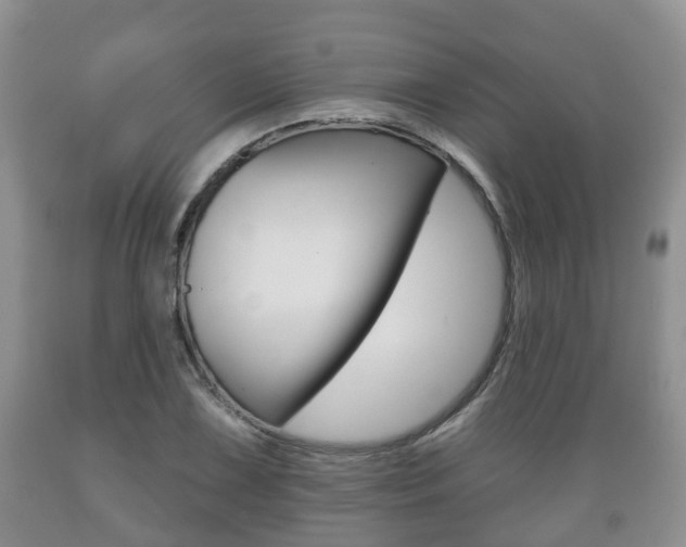 X0000089761075200706210949