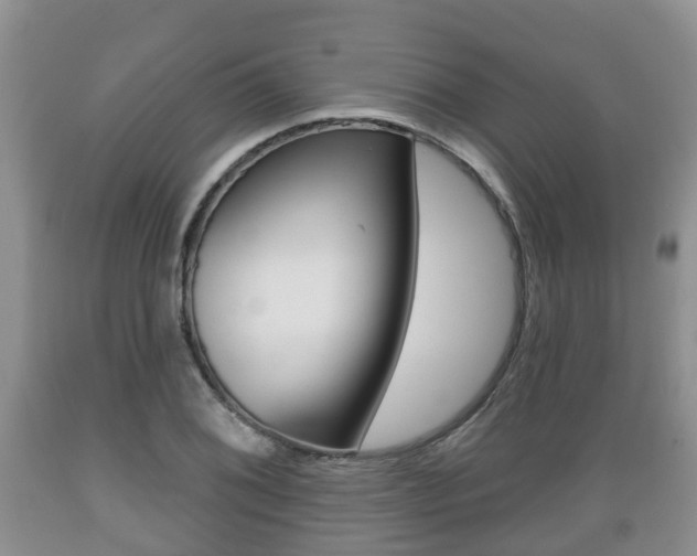 X0000089761076200706210949