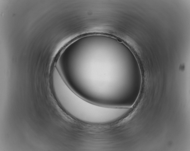 X0000089761077200706210949