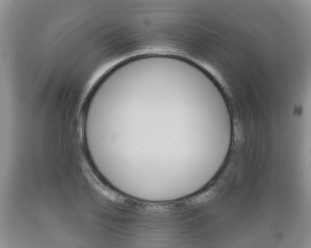 X0000089761078200706210949