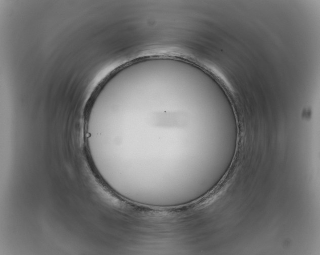 X0000089761079200706210949