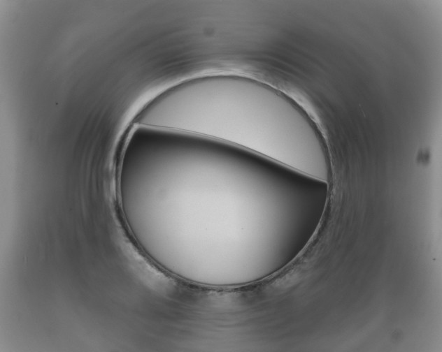 X0000089761080200706210949