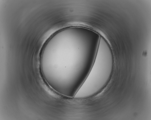 X0000089761082200706210948