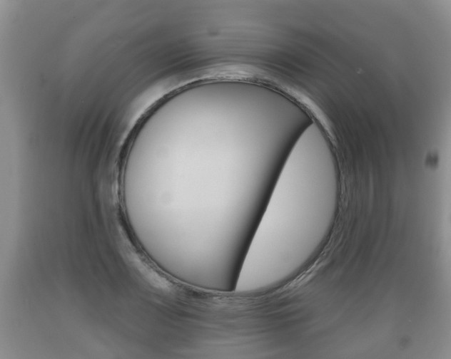 X0000089761083200706210948