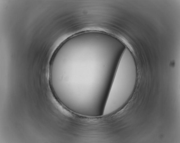 X0000089761084200706210948