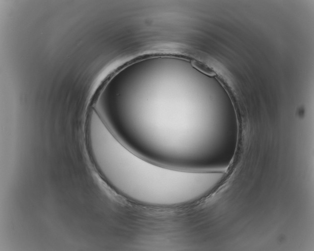 X0000089761085200706210948
