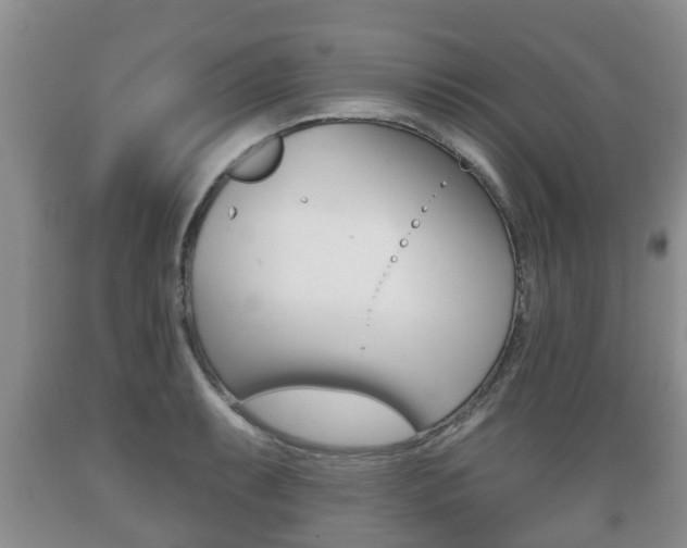 X0000089761087200706210948