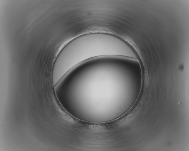 X0000089761089200706210948