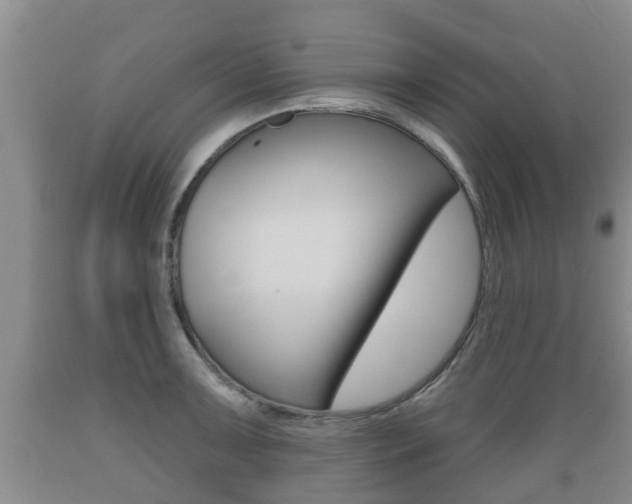 X0000089761091200706210948