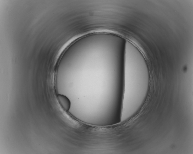 X0000089761092200706210948